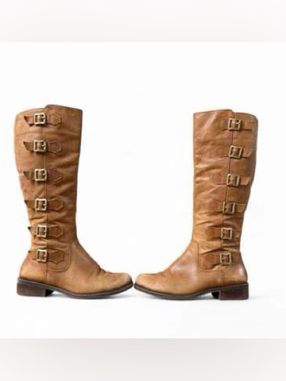 BCBGeneration Women's Tall PL-Kiev Cognac Buckle Riding Boots in Brown